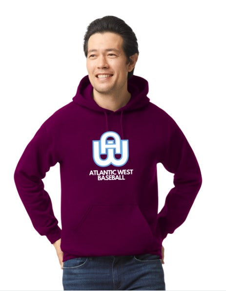 Atlantic West Baseball Hoodie
